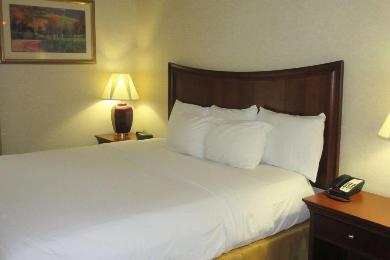 Quality Inn & Suites Owego Exteriör bild